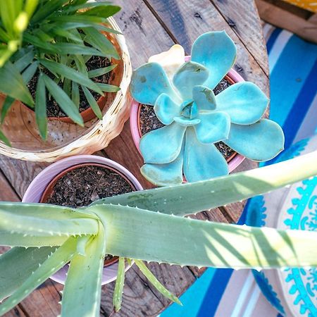 Апартаменты The Kalifornia I Stilvoll Mit Urlaubsfeeling I Dachterrasse I Klima Карлсруэ Экстерьер фото