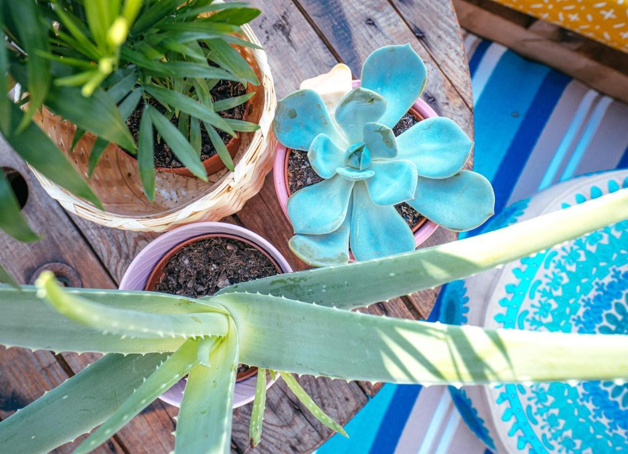 Апартаменты The Kalifornia I Stilvoll Mit Urlaubsfeeling I Dachterrasse I Klima Карлсруэ Экстерьер фото